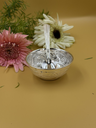 IMG_2504.webp